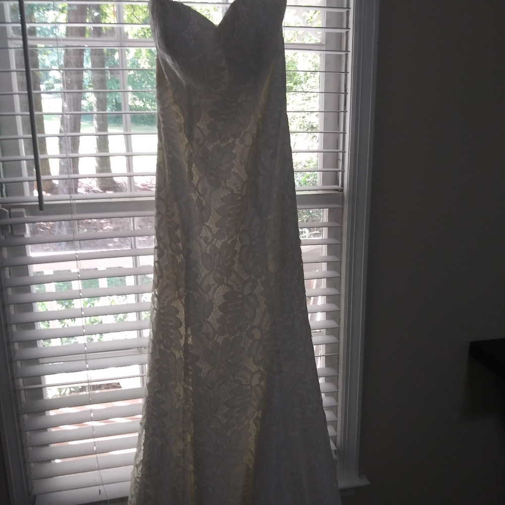 Carrafina Wedding Gown